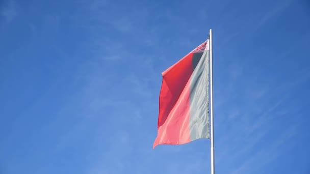 Bandera Bielorrusia Bielorrusia Ondeando Sobre Viento Poste Con Fondo Azul — Vídeo de stock