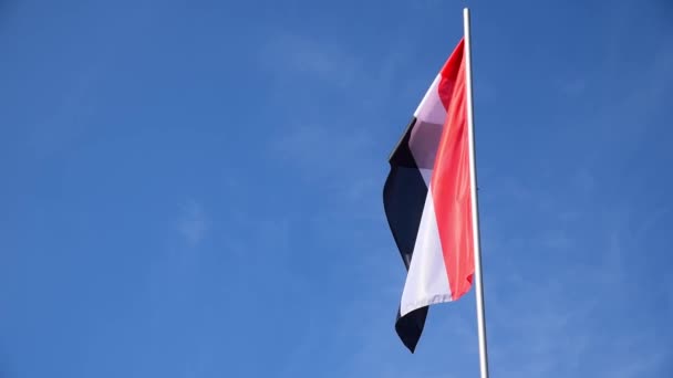 Egyptiska Flagga Egypten Vinka Vinden Stången Med Blå Himmel Bakgrund — Stockvideo