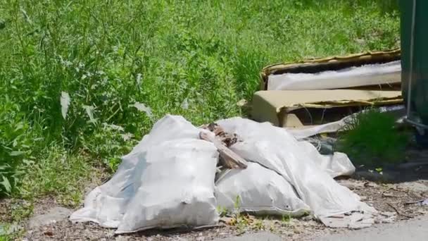 Witte Plastic Nylon Vuilniszakken Buurt Van Plastic Vuilnisbakken Vol Met — Stockvideo