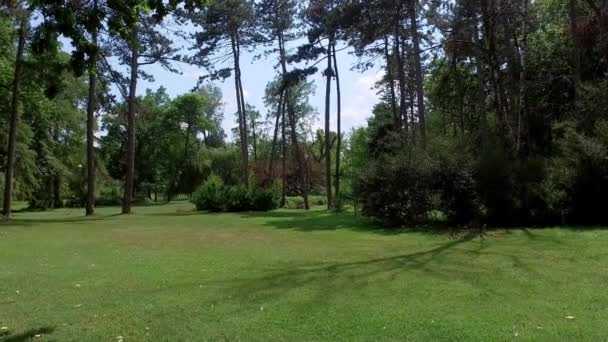 Δημόσιο Πάρκο Όμορφα Πράσινα Δέντρα Και Θάμνους Σαφές Μπλε Του — Αρχείο Βίντεο