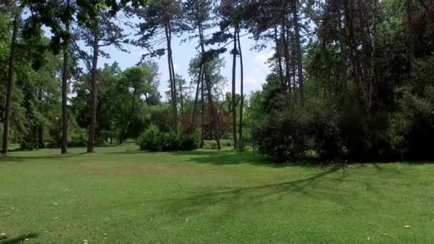 Parc public avec de beaux arbres verts et des buissons ciel bleu clair sur ensoleillé journée d'été nature concept de fond 