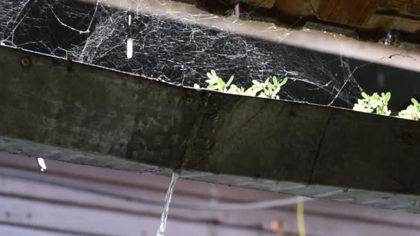 Agua Que Fluye Través Roto Dañado Viejo Canalón Lluvia Oxidada — Vídeos de Stock