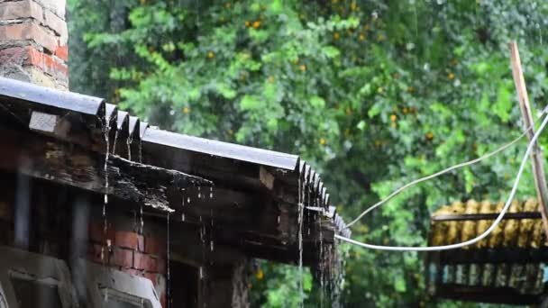 Tormenta Lluvia Fuerte Agua Huracanada Fuertes Gotas Lluvia Techo Dañado — Vídeos de Stock