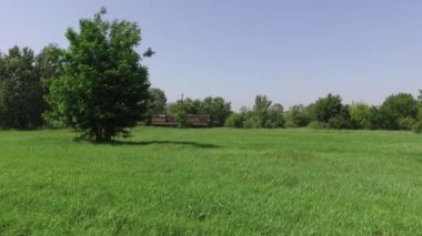 İki lokomotif tren demiryolunda ya da doğada yeşil çimenler ve ağaçlarla ağır ağır ilerliyor. 