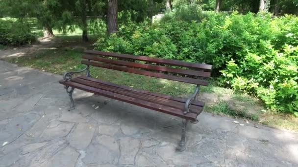 石の歩道やパスと緑の芝生の木と公園内の古いレトロなヴィンテージの木製のベンチ — ストック動画