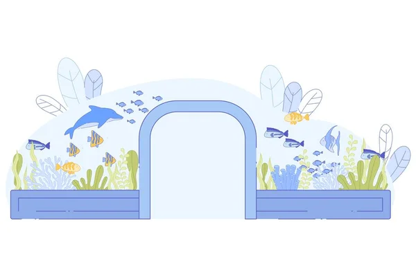 Tunnel di vetro in acquario Pesci Nuoto dei delfini — Vettoriale Stock