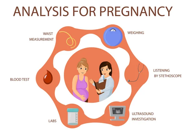 Análisis para el embarazo. Imagen vectorial . — Archivo Imágenes Vectoriales