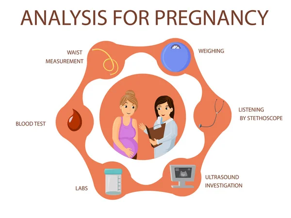 Analys för graviditet. Vektorbild. — Stock vektor