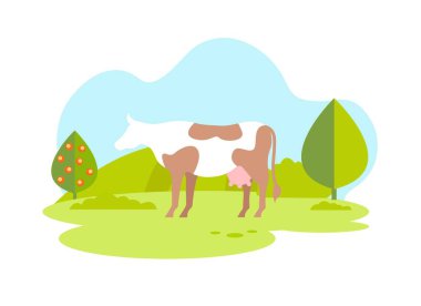 Meadow 'da kahverengi benekli beyaz inek. Organik Süt
