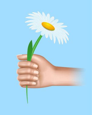 İnsan El Tutuşu Papatya Çiçeği Simgesi, Klip Sanatı