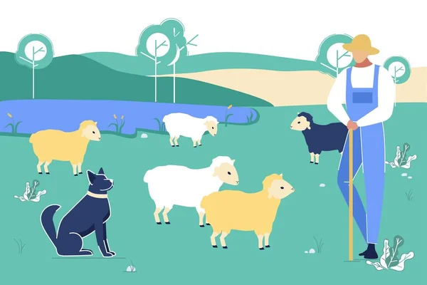 Shepherd with Dog Gaze Sheep on Green Summer Field — Stock Vector