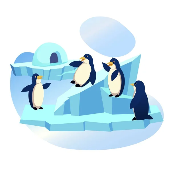 Grupo de Pinguins Engraçados Jogando em Ice Floe, Zoológico — Vetor de Stock