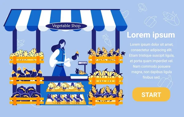 Mulher vendendo comida em baia, loja de vegetais Web . — Vetor de Stock