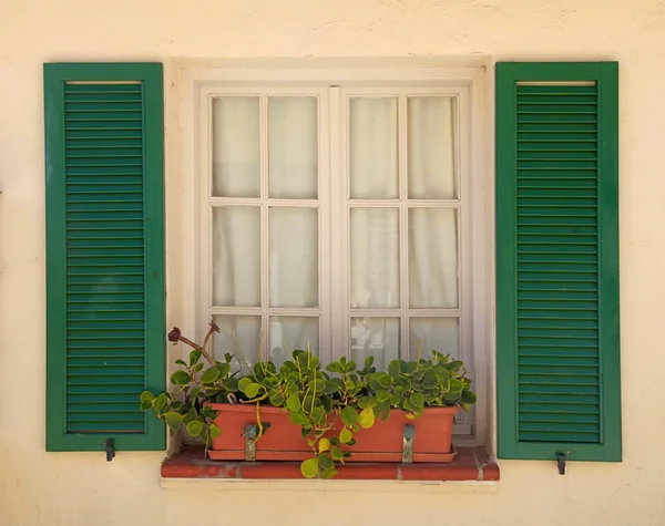 Ventana rústica con viejas persianas verdes y maceta — Foto de Stock