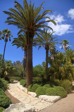 Ramat Hanadiv, Zichron Yaakov, İsrail park