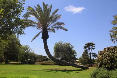 Park Ramat Hanadiv