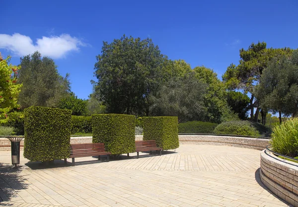 Panca da giardino tra bossi — Foto Stock