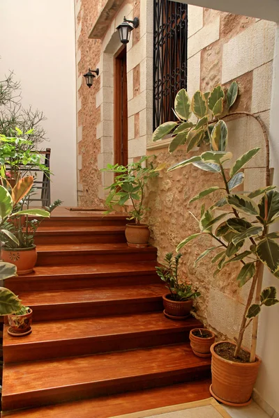 Вход в дом с деревянной лестницей и цветочными горшками — стоковое фото