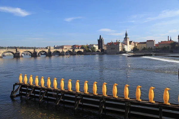 Gele pinguïn standbeelden door de rivier de Moldau in Praag, Tsjechië — Stockfoto