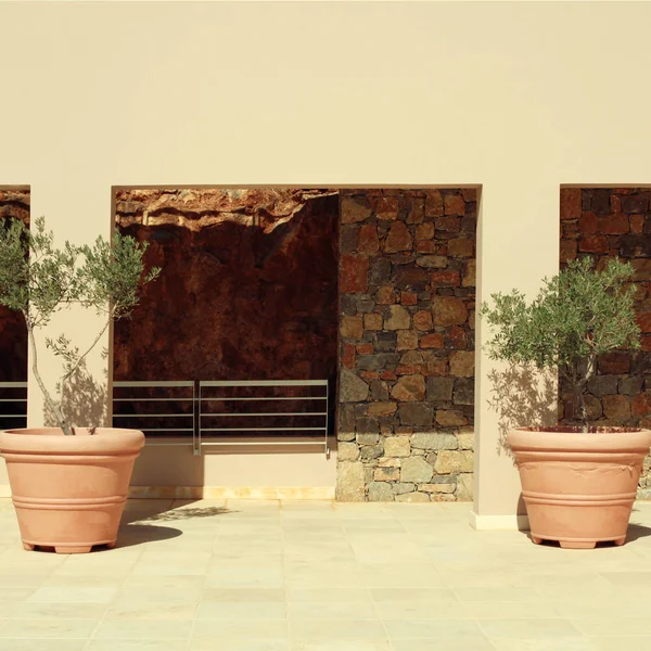 Dos ollas de terracota con olivos en la terraza de la casa mediterránea, Grecia — Foto de Stock