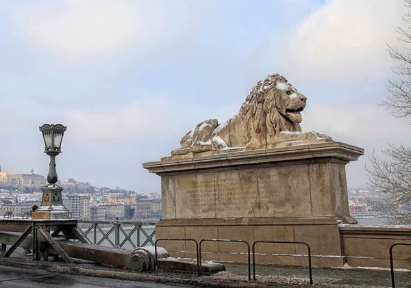 Lev sochy řetězového mostu s výhledem na Budapešť, Maďarsko — Stock fotografie
