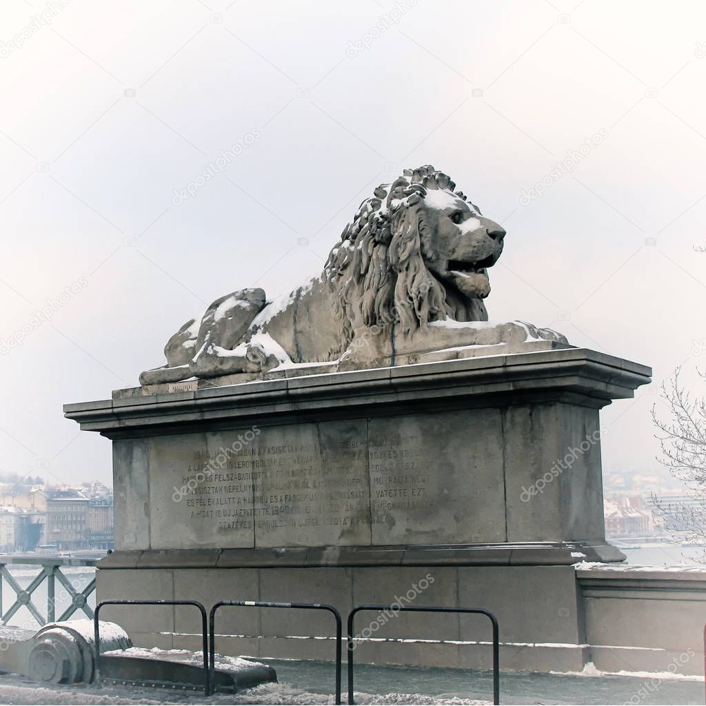 Lion sculptures of the Chain Bridge with the view of Budapest, Hungary