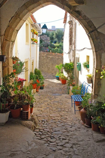 Case di paese, cortile e fiori (Portogallo ) — Foto Stock