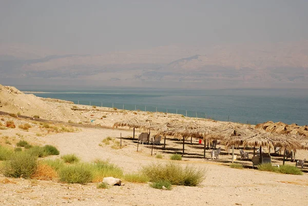 Pláž na Mrtvé moře, Izrael. — Stock fotografie