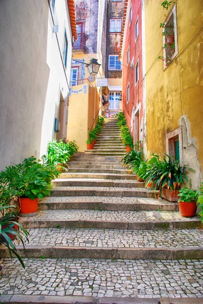 Enge europäische Straße mit Kopfsteinpflasterstufen und alten Häusern, portugal — Stockfoto