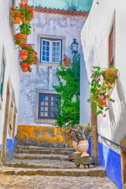 medieval town of Obidos, Portugal clipart