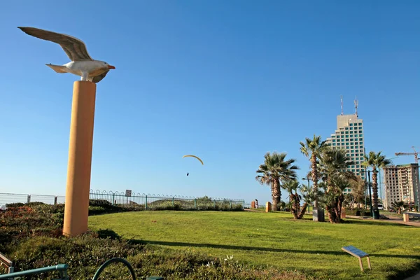 Moderno paseo marítimo con césped y escultura de aves, Netanya, Israel — Foto de Stock