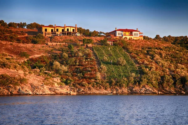 Terres agricoles sur l'île grecque avec vignoble, Grèce — Photo