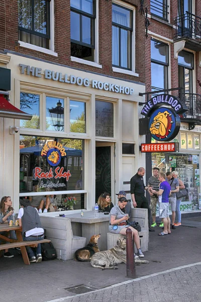 坐在牛头犬咖啡店在阿姆斯特丹大街上人 — 图库照片