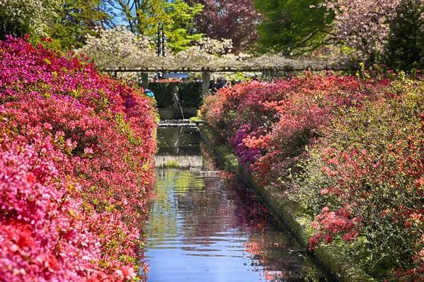 Пейзаж с каналом и красочные цветы — стоковое фото
