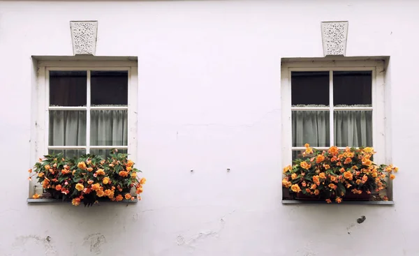 Gamla fönster och blomlåda med orange blommor — Stockfoto