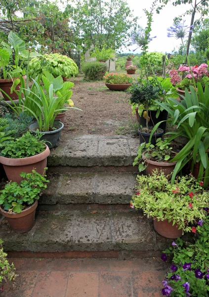 Oude stenen trappen in kleine Italiaanse tuin, ingericht door bloempot — Stockfoto