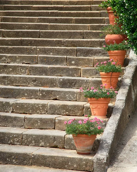 Saksı, İtalya tarafından dekore edilmiş eski taş basamaklar