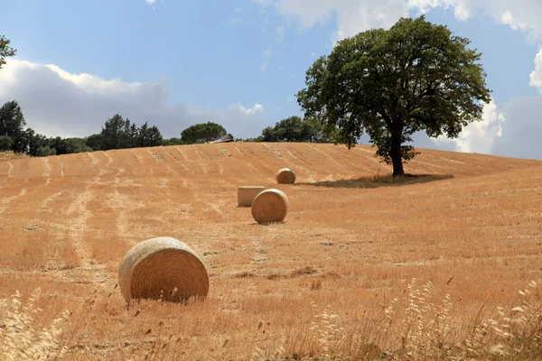 Tuscany landscape with hay bales, Italy — Stock Photo, Image