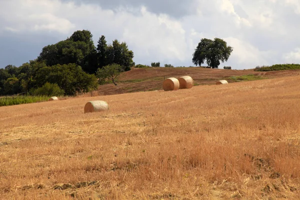 Tuscany landscape with hay bales, Italy — Stock Photo, Image