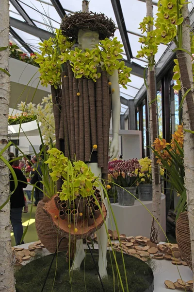 Orquídea decoração florística em estufa de flores em Keukenhof Garden, Países Baixos — Fotografia de Stock