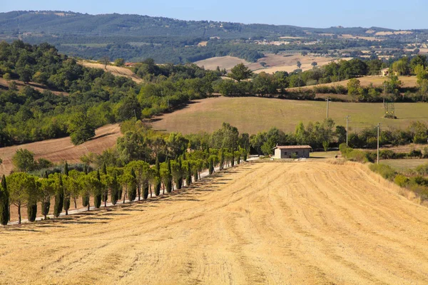 Bellissimo paesaggio estivo in Toscana — Foto Stock