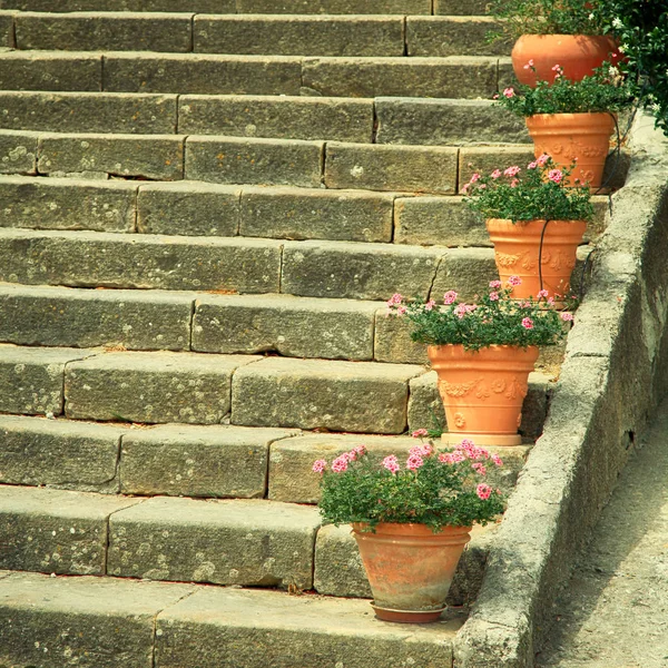 Oude stenen trappen, ingericht door bloempotten, Italië — Stockfoto