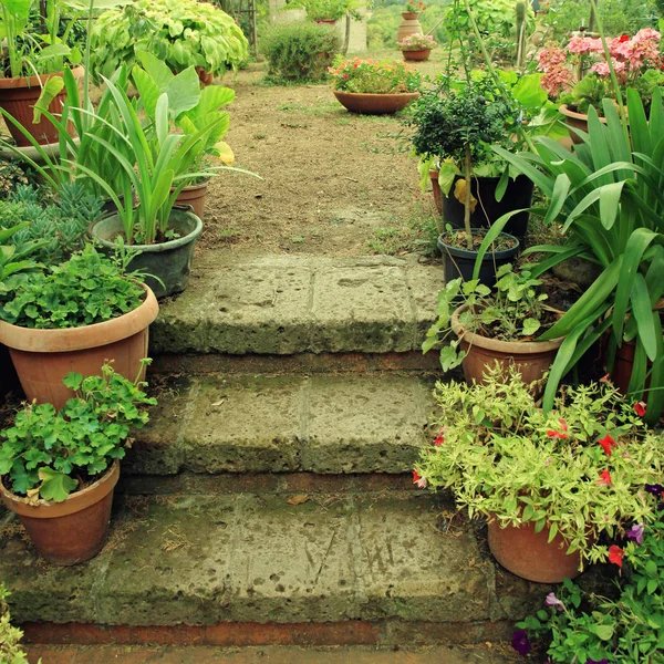 Vecchi gradini in pietra in piccolo giardino all'italiana, decorati da vaso di fiori — Foto Stock