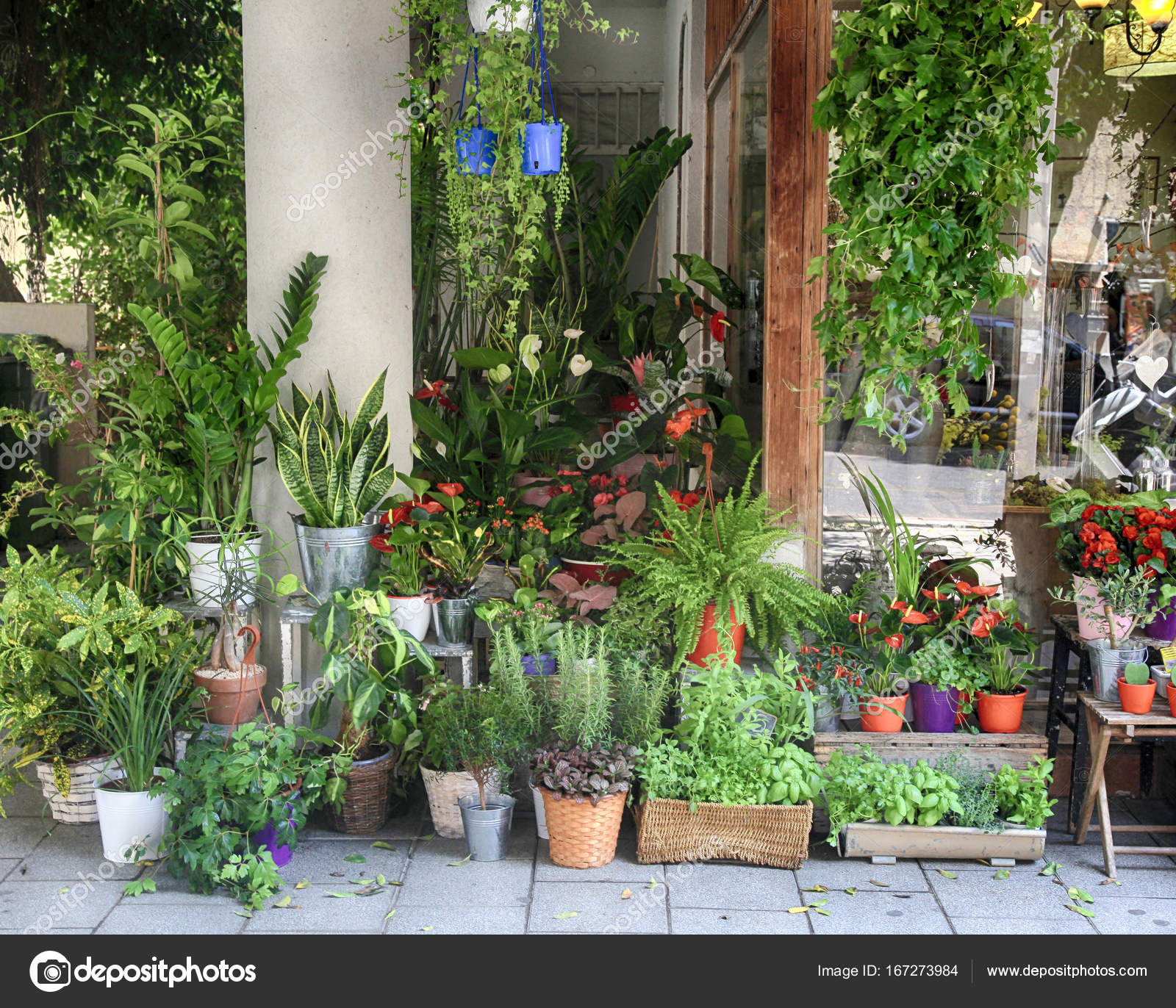 Plants and flowers in pots near the florist shop entrance — Stock