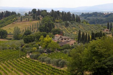 İtalya, Toskana 'da güzel bir yaz manzarası
