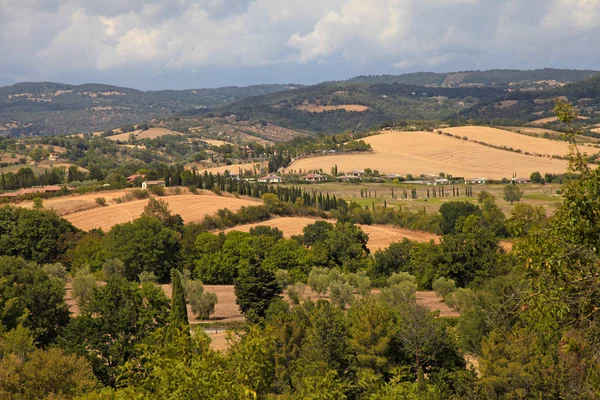 トスカーナの美しい夏の風景,イタリア — ストック写真