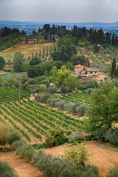 意大利托斯卡纳美丽的夏季风景 — 图库照片