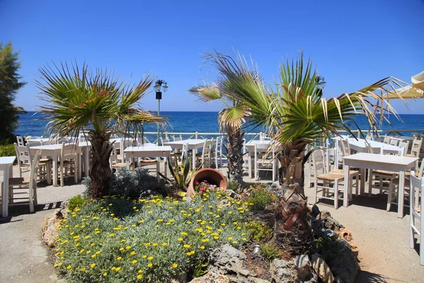 Palmeras y flores en la terraza del café griego al aire libre, Creta, Grecia —  Fotos de Stock