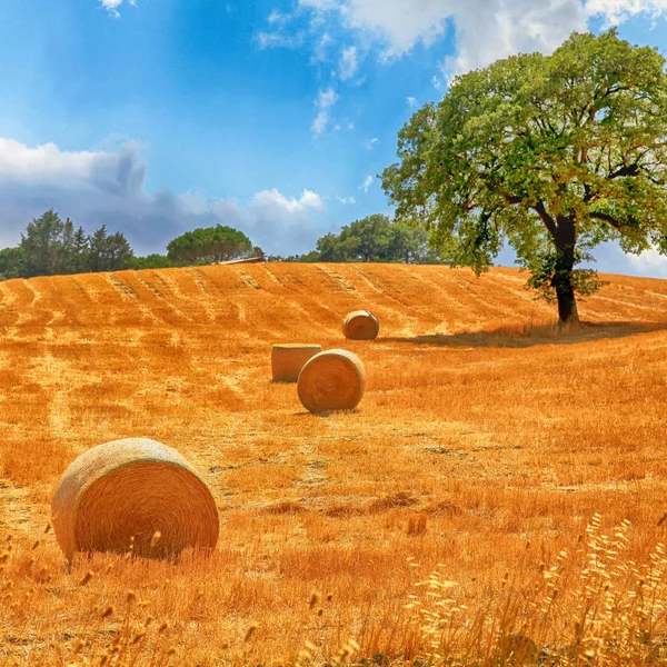 Tuscany landscape with hay bales, Italy — Stock Photo, Image