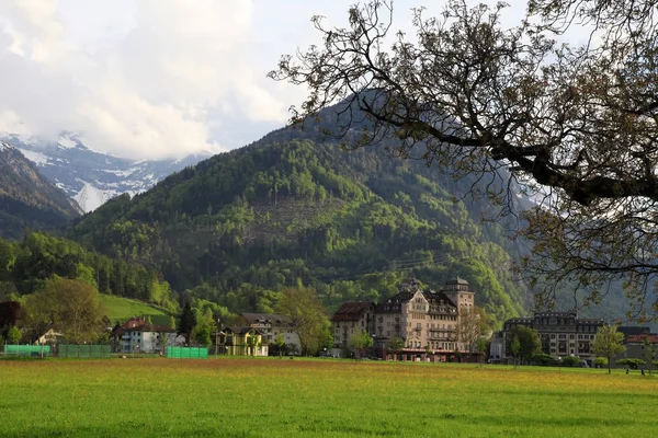 Krajina se zelená pole a vysoké hory v Interlaken, Švýcarsko — Stock fotografie